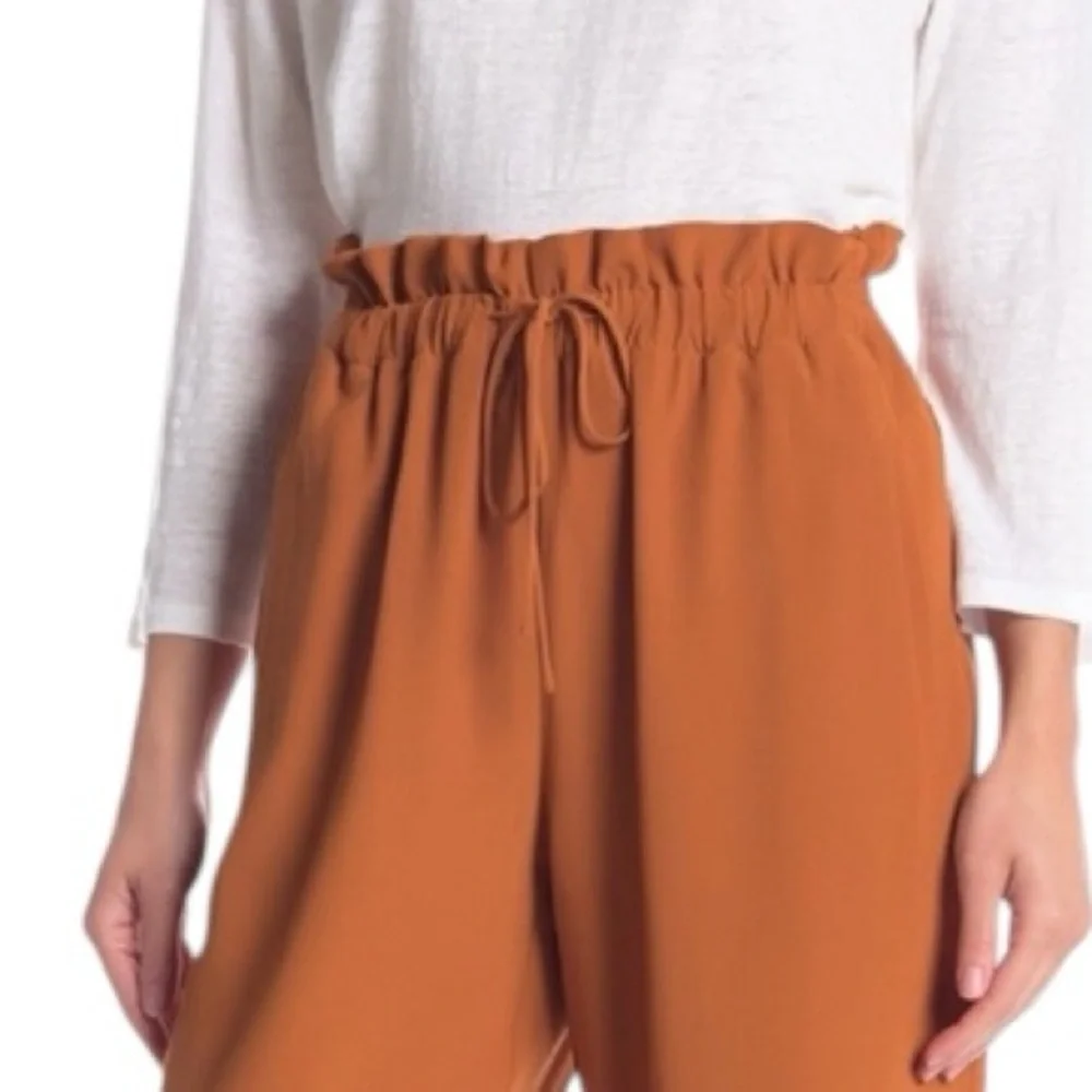Eileen Fisher Tencel Viscose Straight Ankle Cropped Pants Color Musk Large